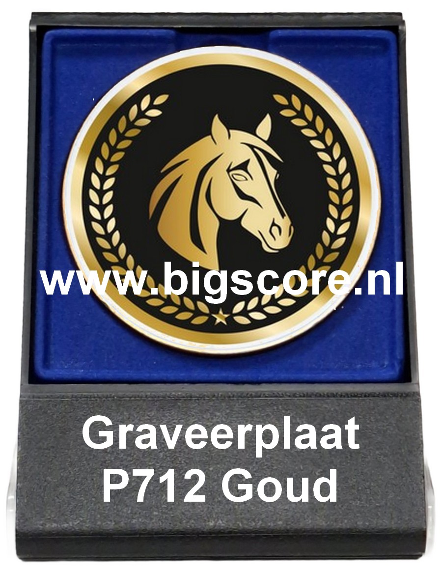 Paard Acryl in medailledoosje Blauw-Zwart G/Z/B